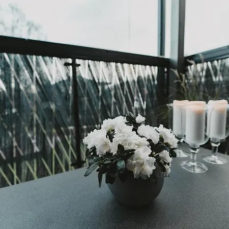 Lejlighed Oeoe Street Luxury With Terrace Tartu